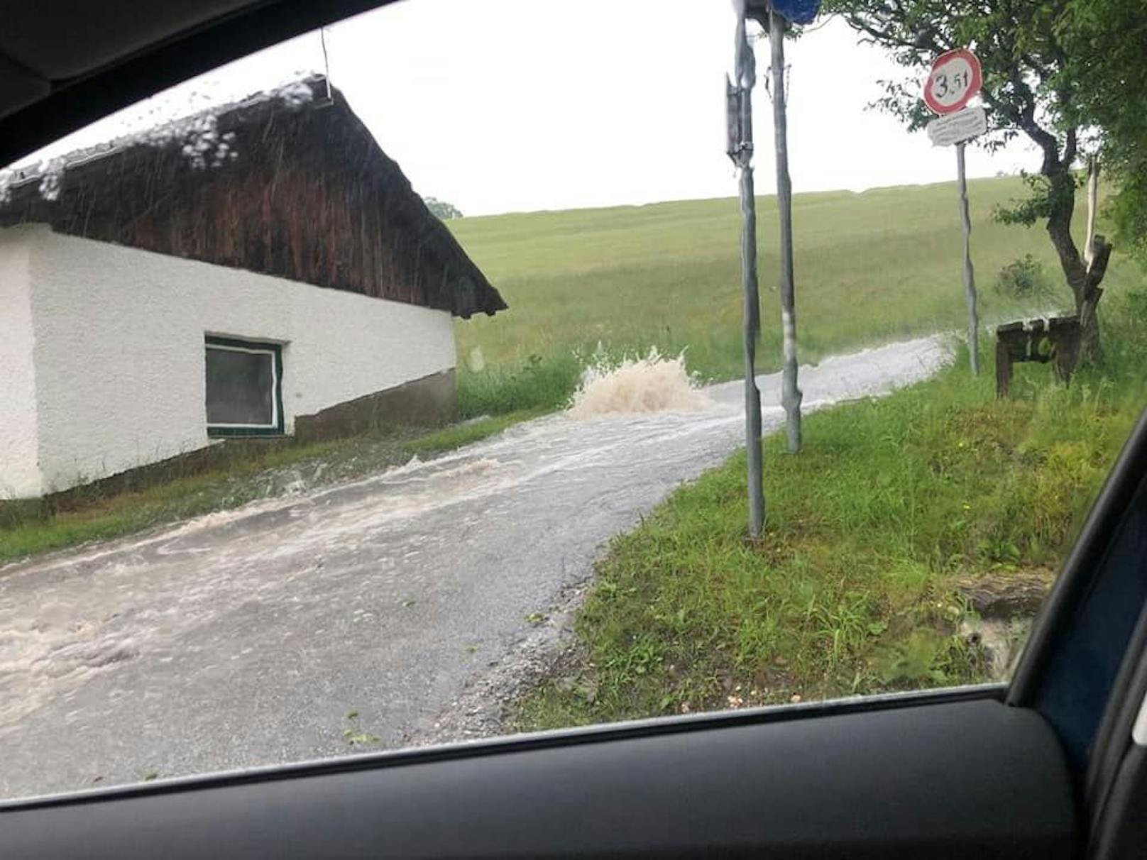 "So eine Situation hatten wir zuletzt 1985", erinnert sich Egger. "Da hatten wir so heftige Unwetter am Freitag vor dem Narzissenfest."