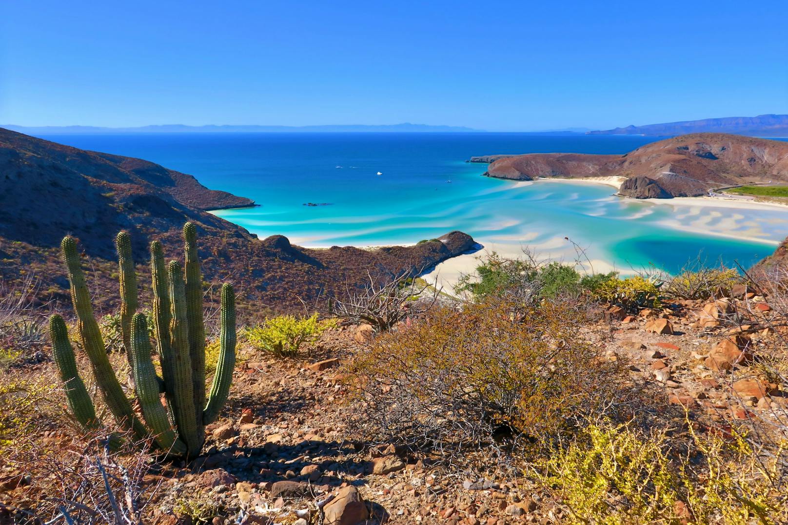 <strong>Platz 10: Balandra Beach, Mexiko: </strong>Das kristallklare, türkisfarbene Wasser und die weißen Sanddünen vor der Wüstenkulisse mit den Kakteen machen den Strand zu einem der schönsten Mexikos. Er liegt nur 30 Minuten von La Paz entfernt.