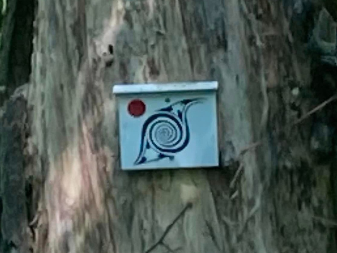 Weisst du, was dieses Bild bedeutet? Seit Jahren wird über Malereien wie diese gerätselt, die in verschiedenen Wäldern in der Schweiz immer wieder entdeckt werden.