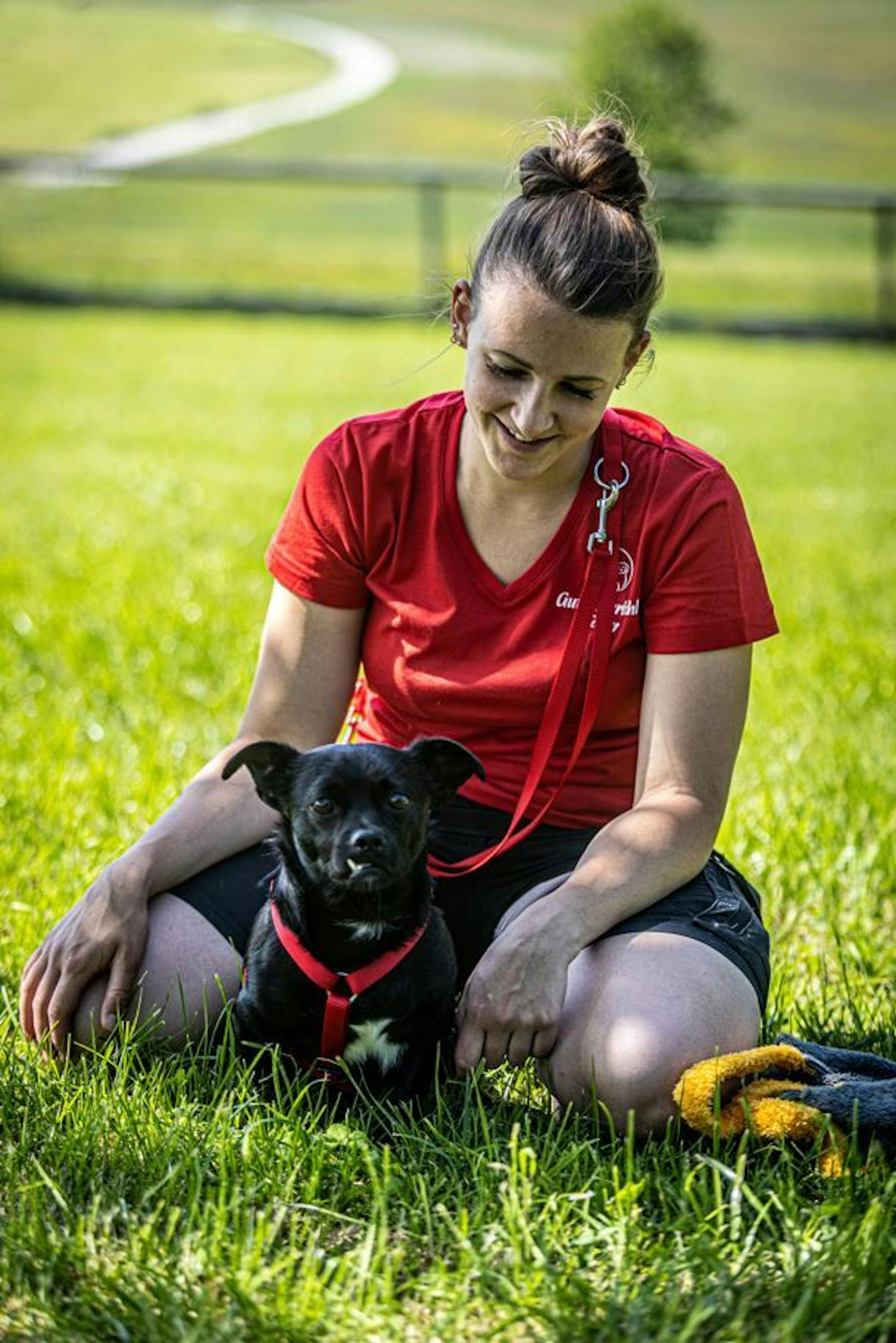 Hier sind die Tierpfleger:innen von Gut Aiderbichl sehr bemüht und machen mehrmals täglich Physiotherapie mit dem Rüden.