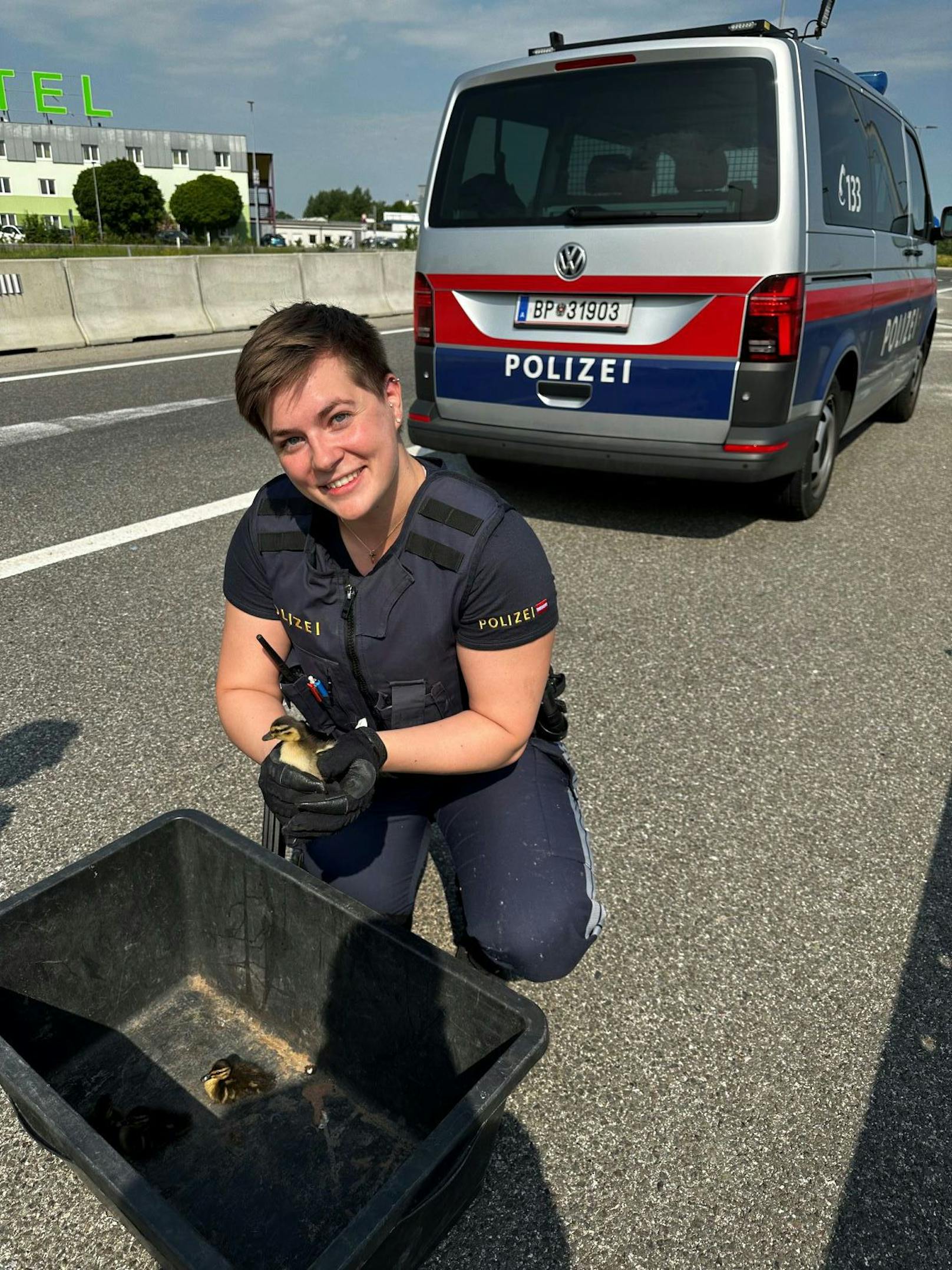 Die Polizei sperrte die Autobahn und half, die Tierchen einzufangen. Sie wurden ins Tierschutzhaus Vösendorf gebracht.