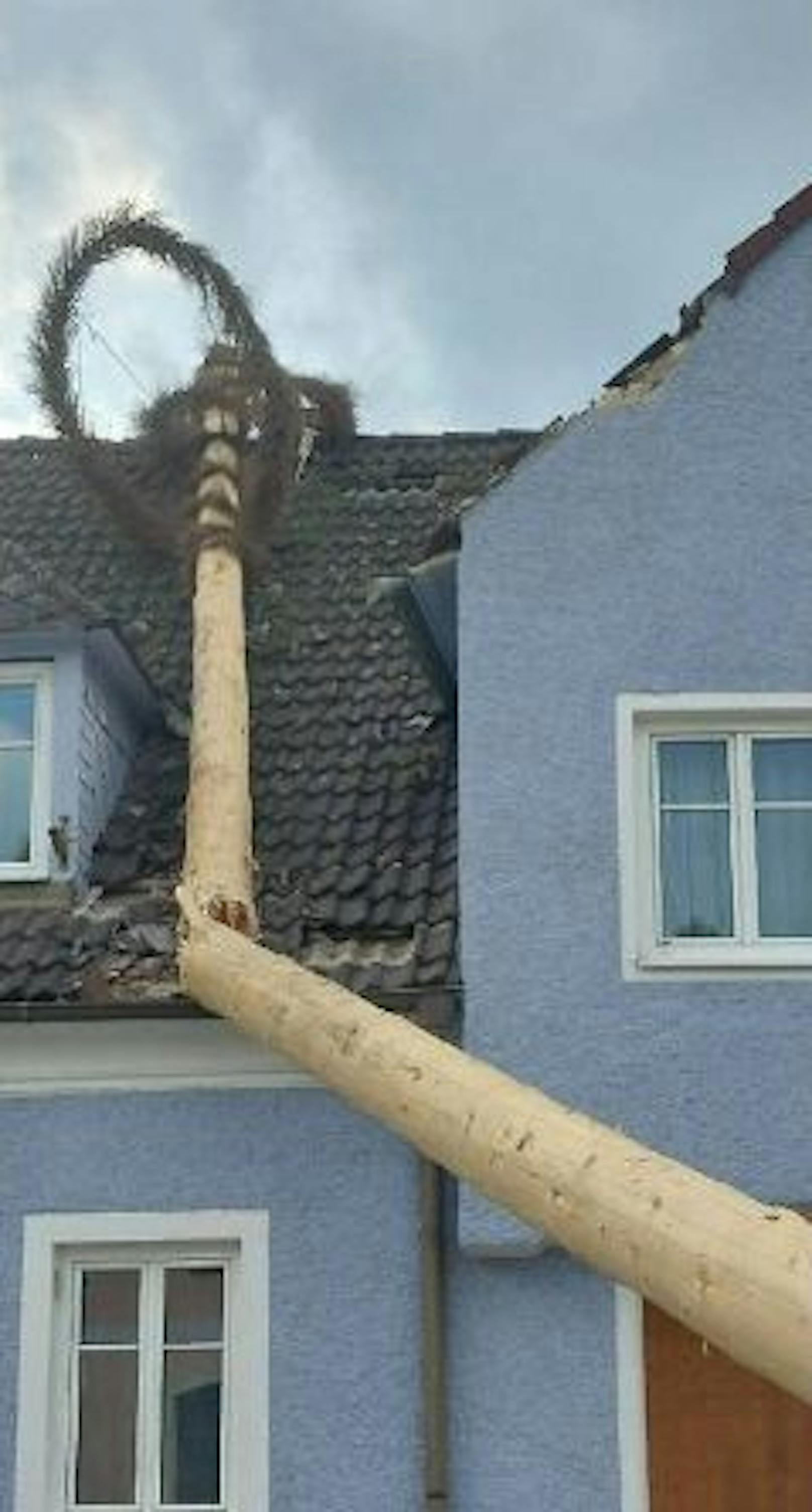 Maibaum stürzte in Rastenfeld auf Haus