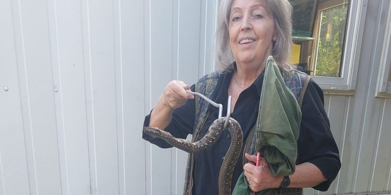 Reptilienexpertin Happ mit der gefangenen Hornviper