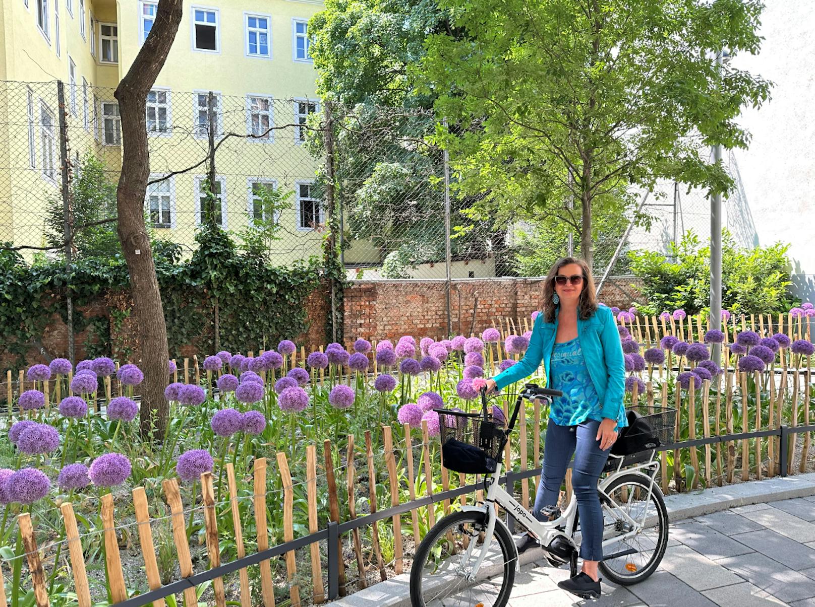 30 Bäume – Pfeilgasse wird klimafitte Fahrradstraße