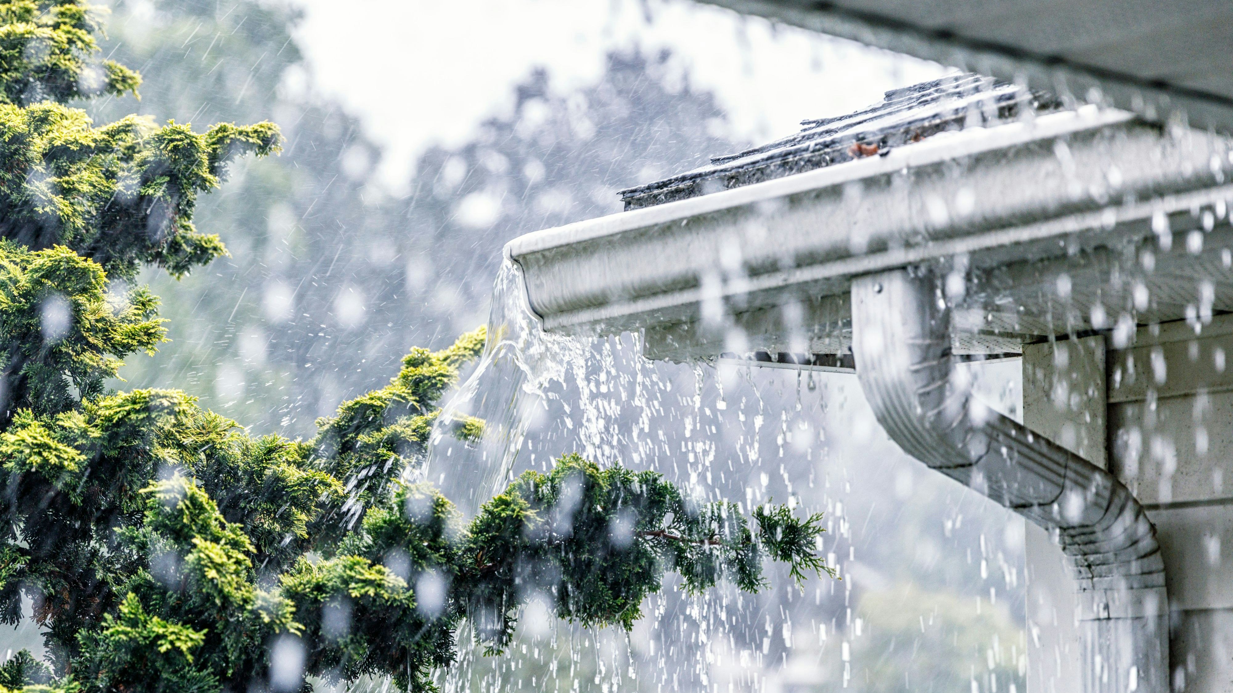 Drenching downpour rain storm water is overflowing off the tile shingle roof - streaming, rushing and splashing out over the overhanging eaves trough aluminum roof gutter system on a suburban residential colonial style house near Rochester, New York State, USA during a torrential mid-summer July downpour.