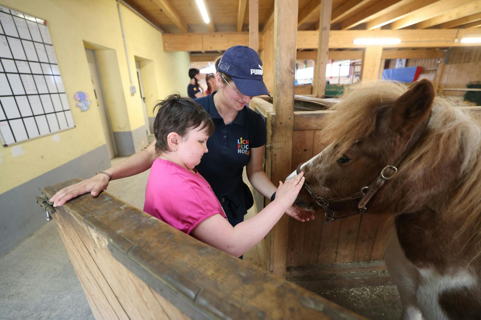 Auch Pony Alaska freut sich über Streicheleinheiten