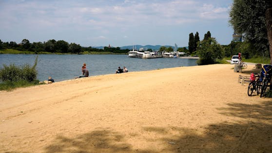 Nahe des Vienna City Beach Clubs zog der Mann ein siebenjähriges Mädchen aus der Donau.