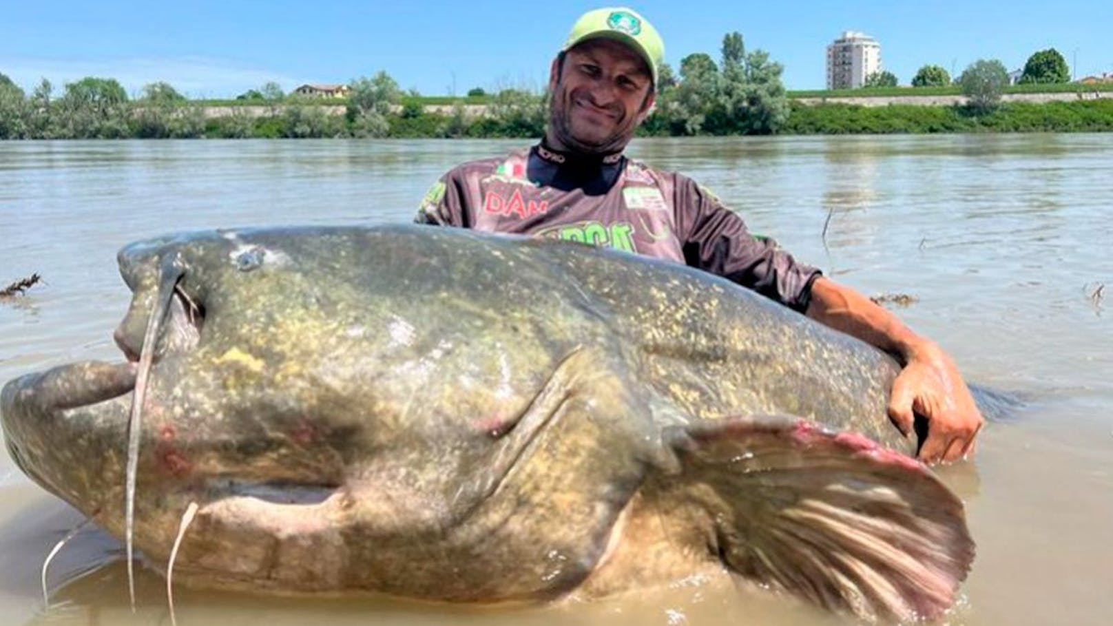 Weltrekord! Angler zieht Monster-Wels an Land