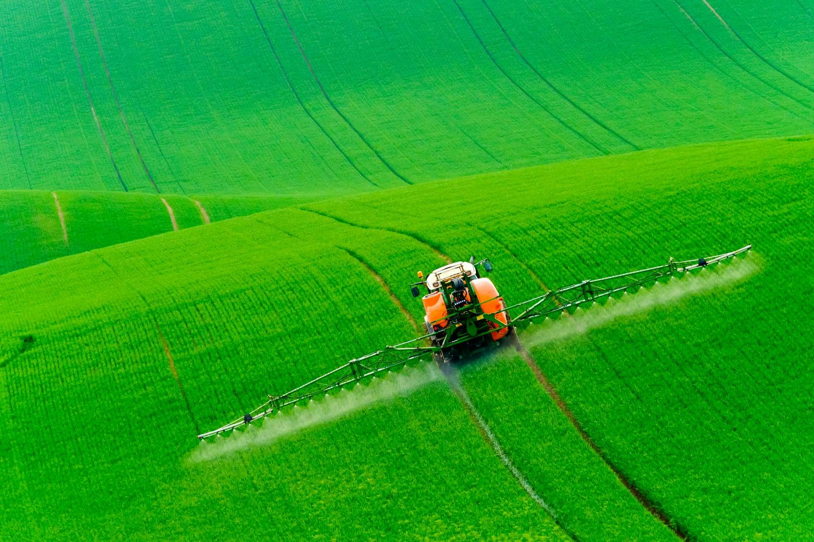 Neue Gentechnik statt Pestizide – Risiko oder Chance?