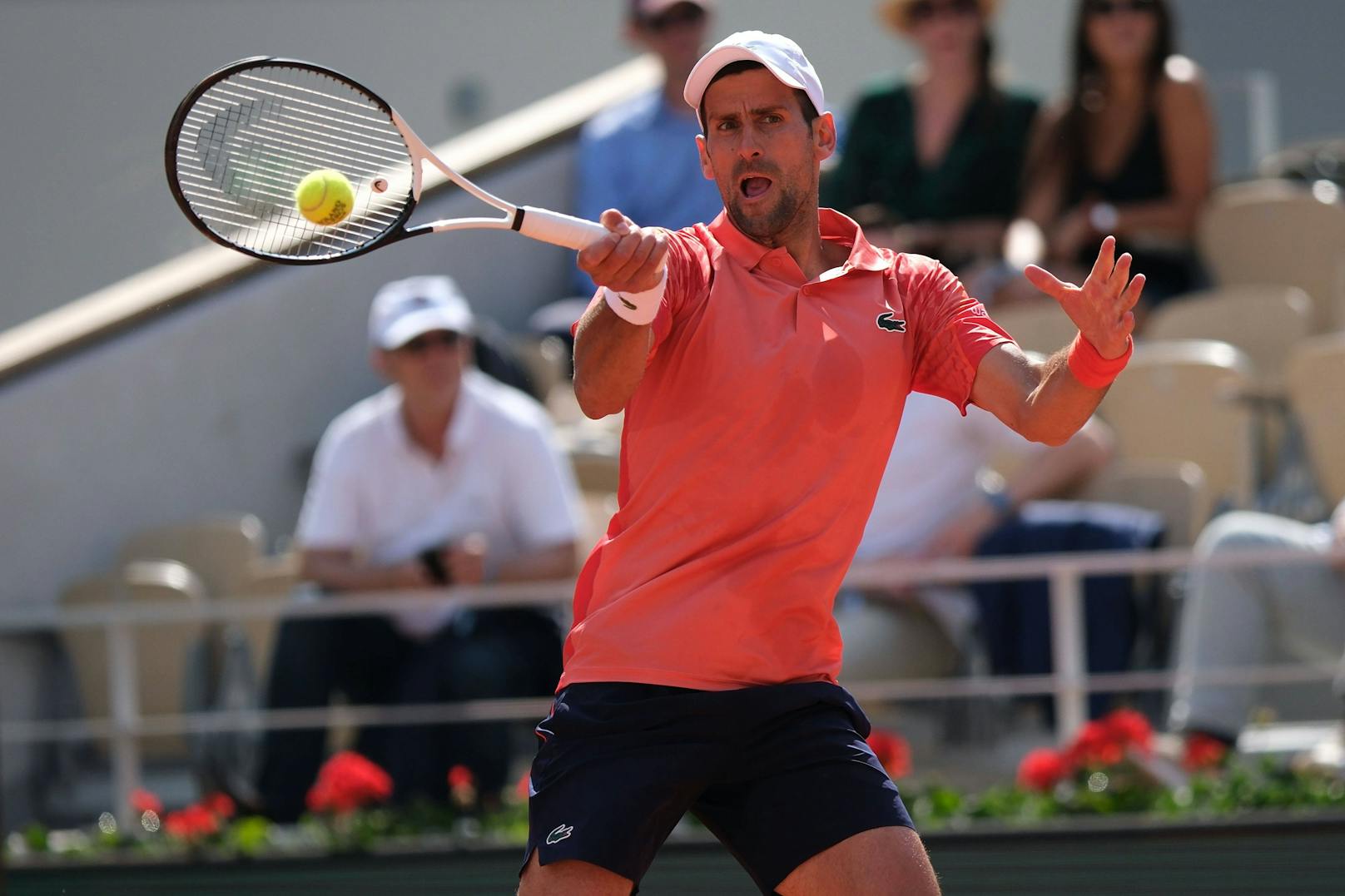 Djokovic im Paris-Halbfinale! Steigt Duell mit Alcaraz?
