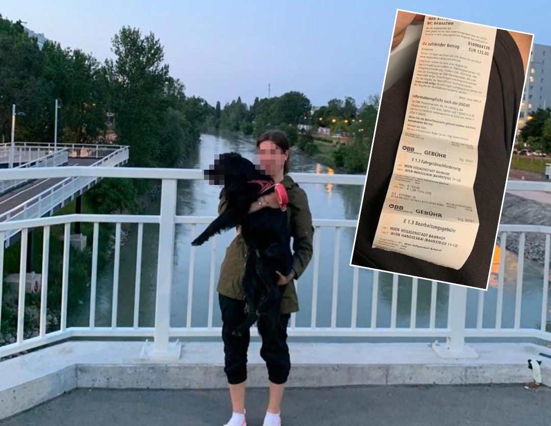 Die Wienerin konnte den Kontrolleur nicht von ihrem eigentlichen Vorhaben überzeugen.