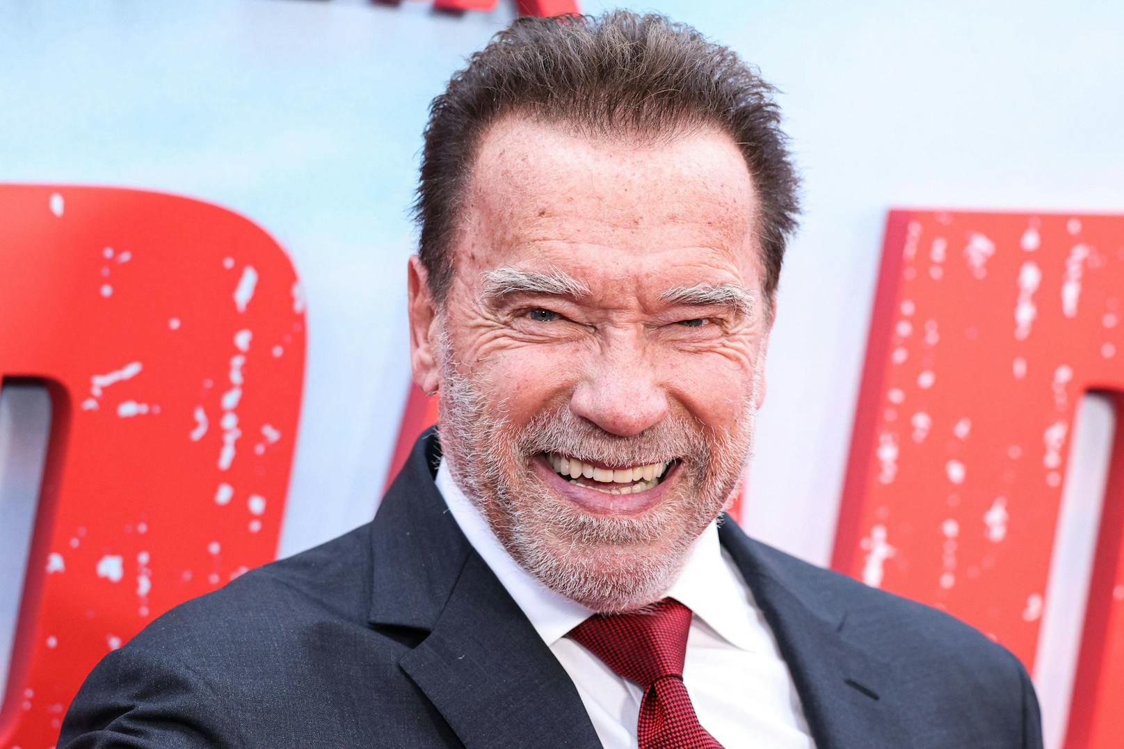 ...Arnold Schwarzenegger scheint laut seinem Insta-Profil auf alle Fälle Spaß mit der Challenge gehabt zu haben.