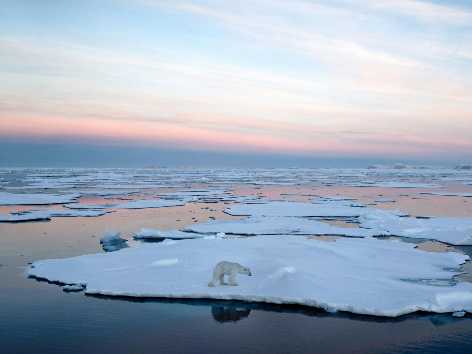 Die Arktis gilt als Hotspot des Klimawandels. Der rasante Eisverlust könnte einen Anstieg der Meeresspiegel um rund sechs Meter zur Folge haben.