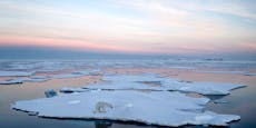 Arktis womöglich schon im nächsten Jahrzehnt eisfrei