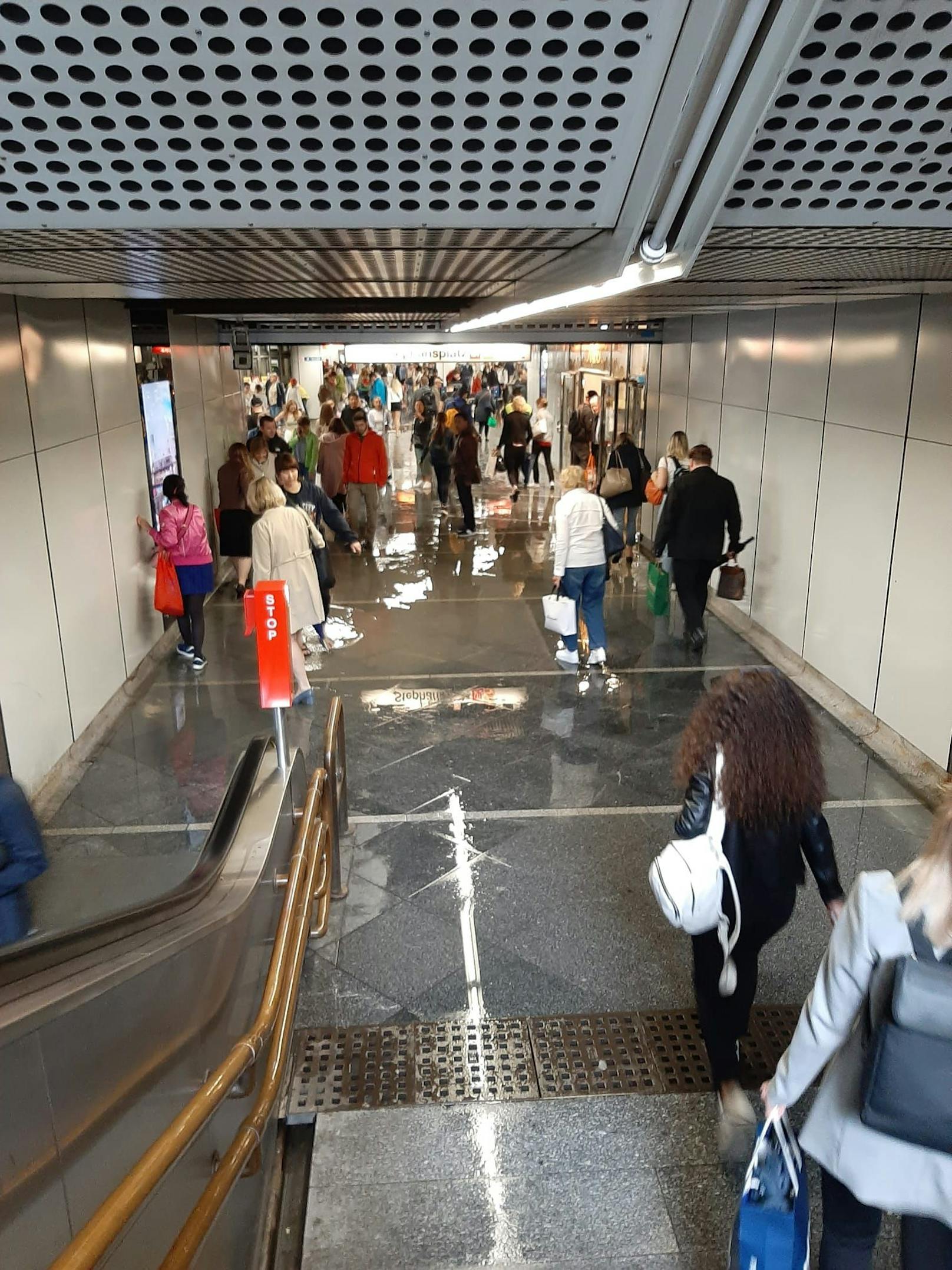 Weiters wunderten sich viele Öffi-Fahrer, dass die U1/U3-Station Stephansplatz unter Wasser stand.