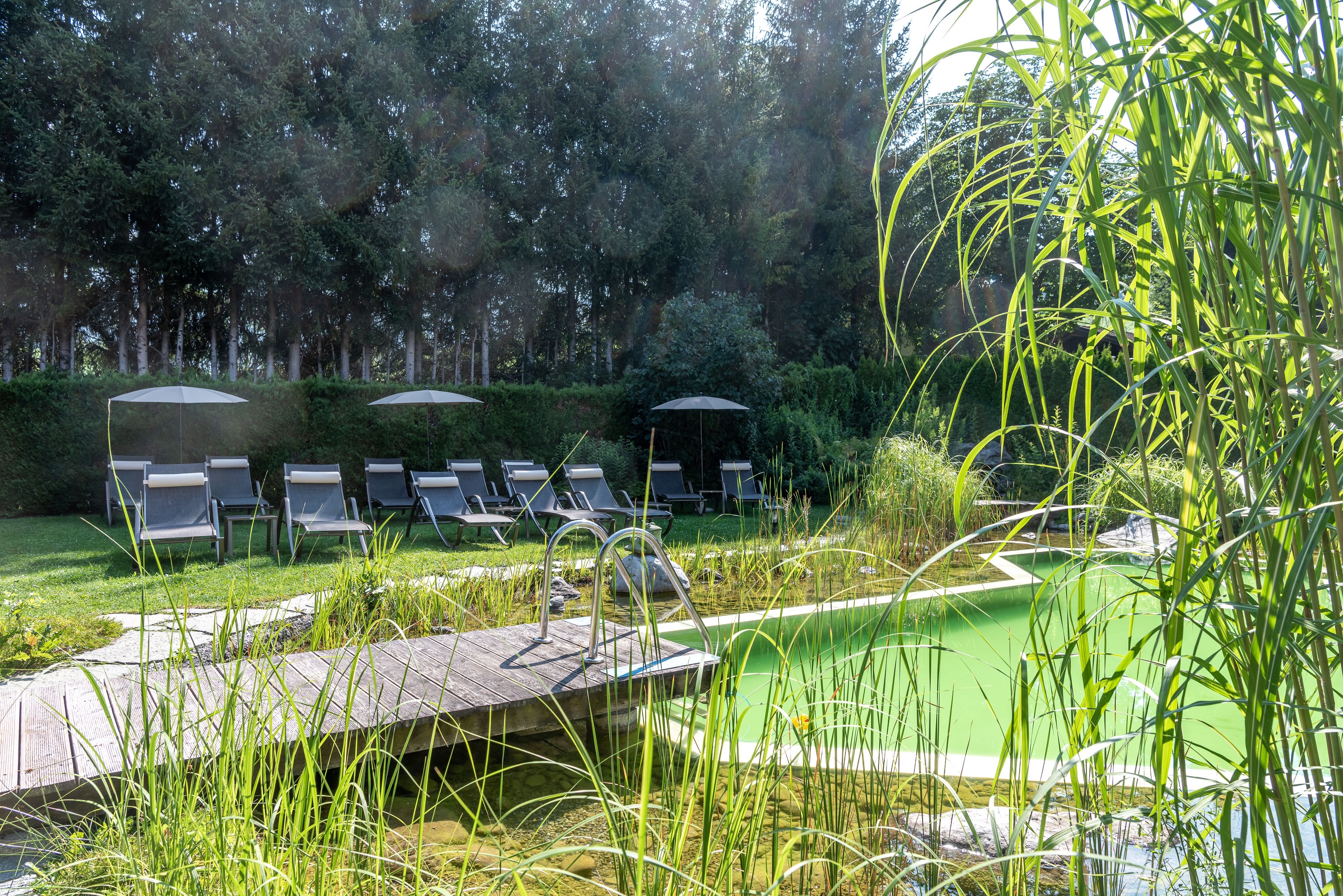 Der Schwimmteich im Niederreiter ist beheizt.