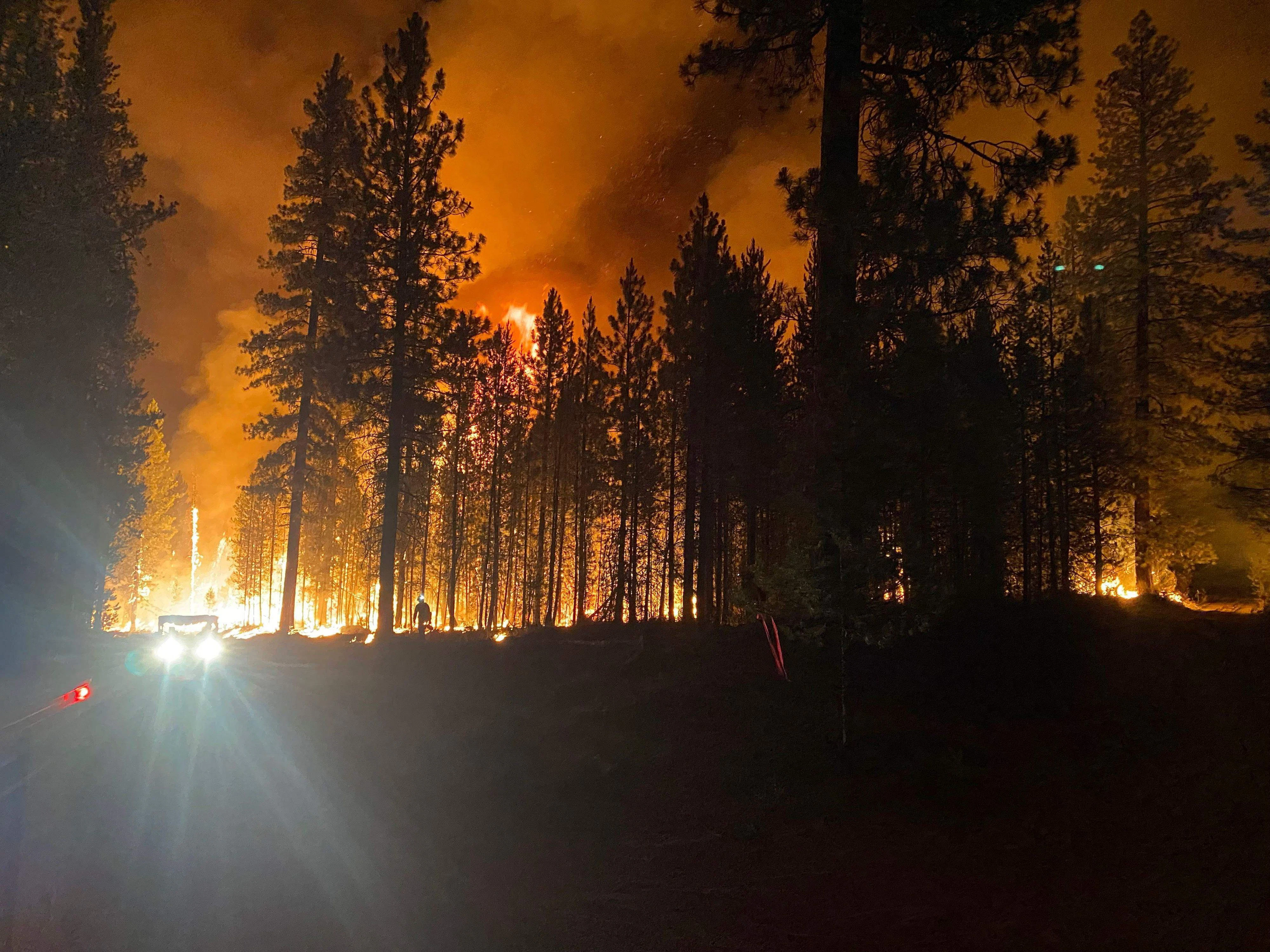 Verheerende Waldbrände in Kanada