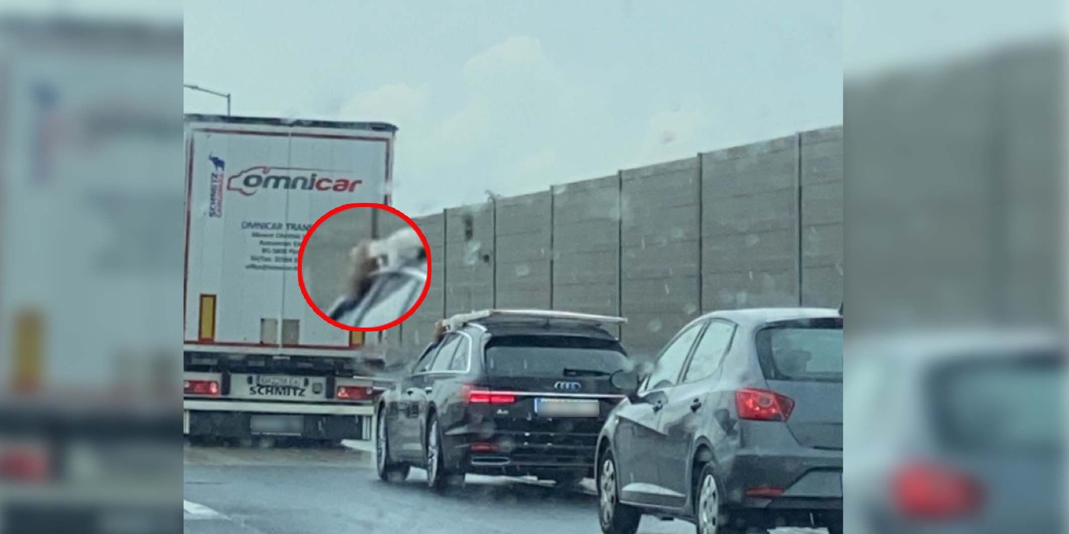 Eine "Heute"-Leserin kann nicht glauben was sie da auf der S1 sieht