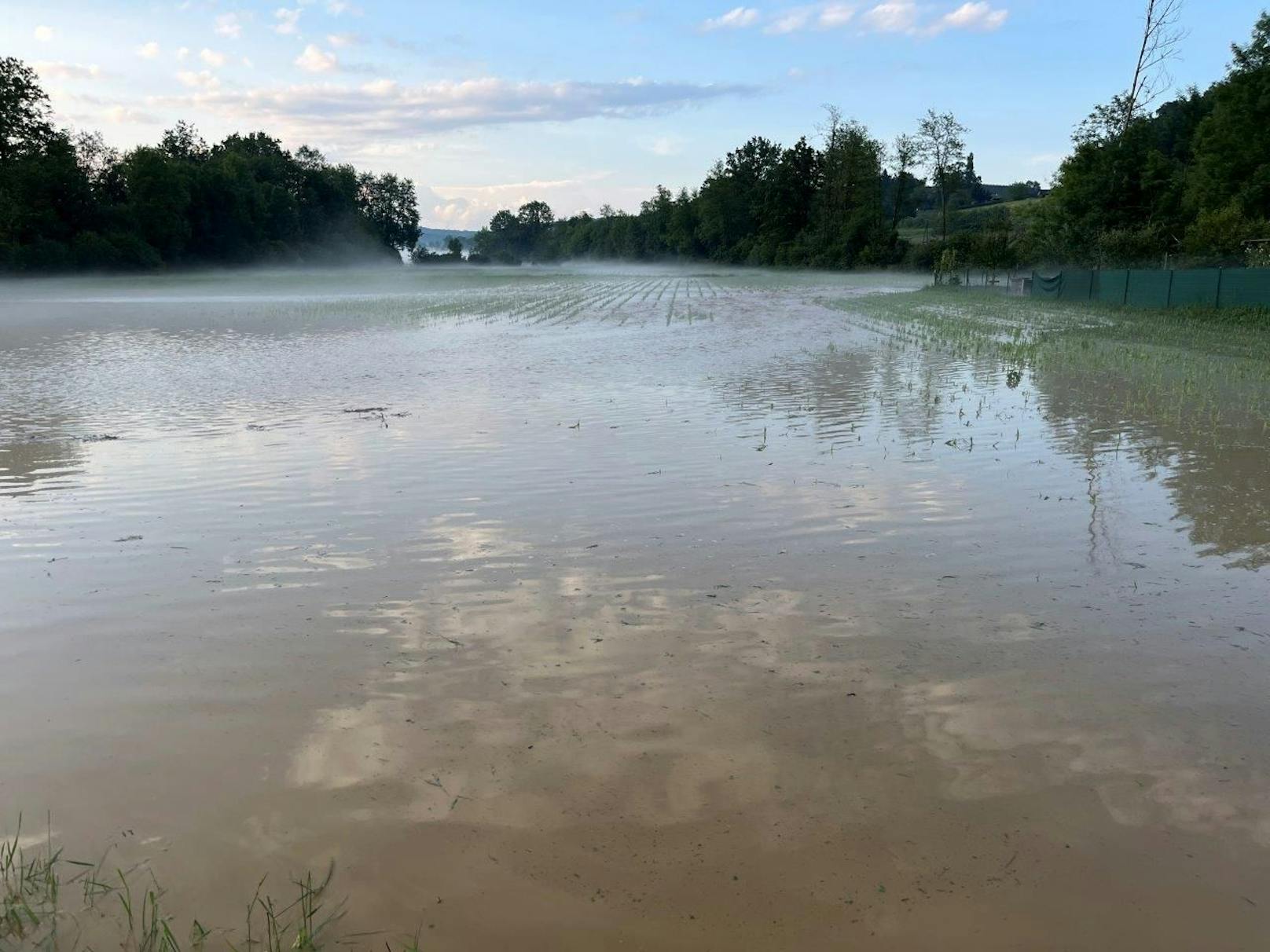 Überschwemmung in einem Mais-Feld in St. Peter am Ottersbach, Südoststeiermark, am 9. Juni 2023.