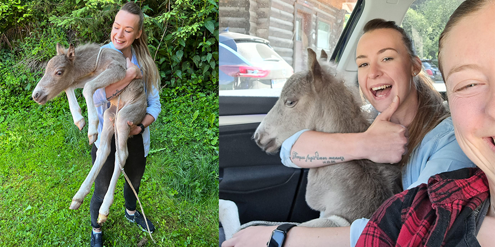 Happy End im Fall des entflohenen Fohlens (am Bild die Inspektorinnen Sophia-Theresa Unger und Elisa Cantonati).