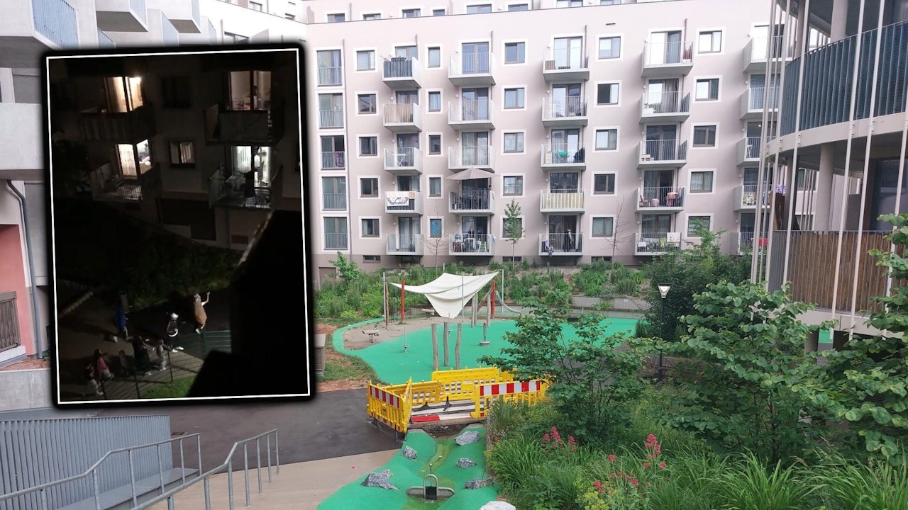 Heute.at - Schreie rauben Wienern in Brutalo-Siedlung den Schlaf