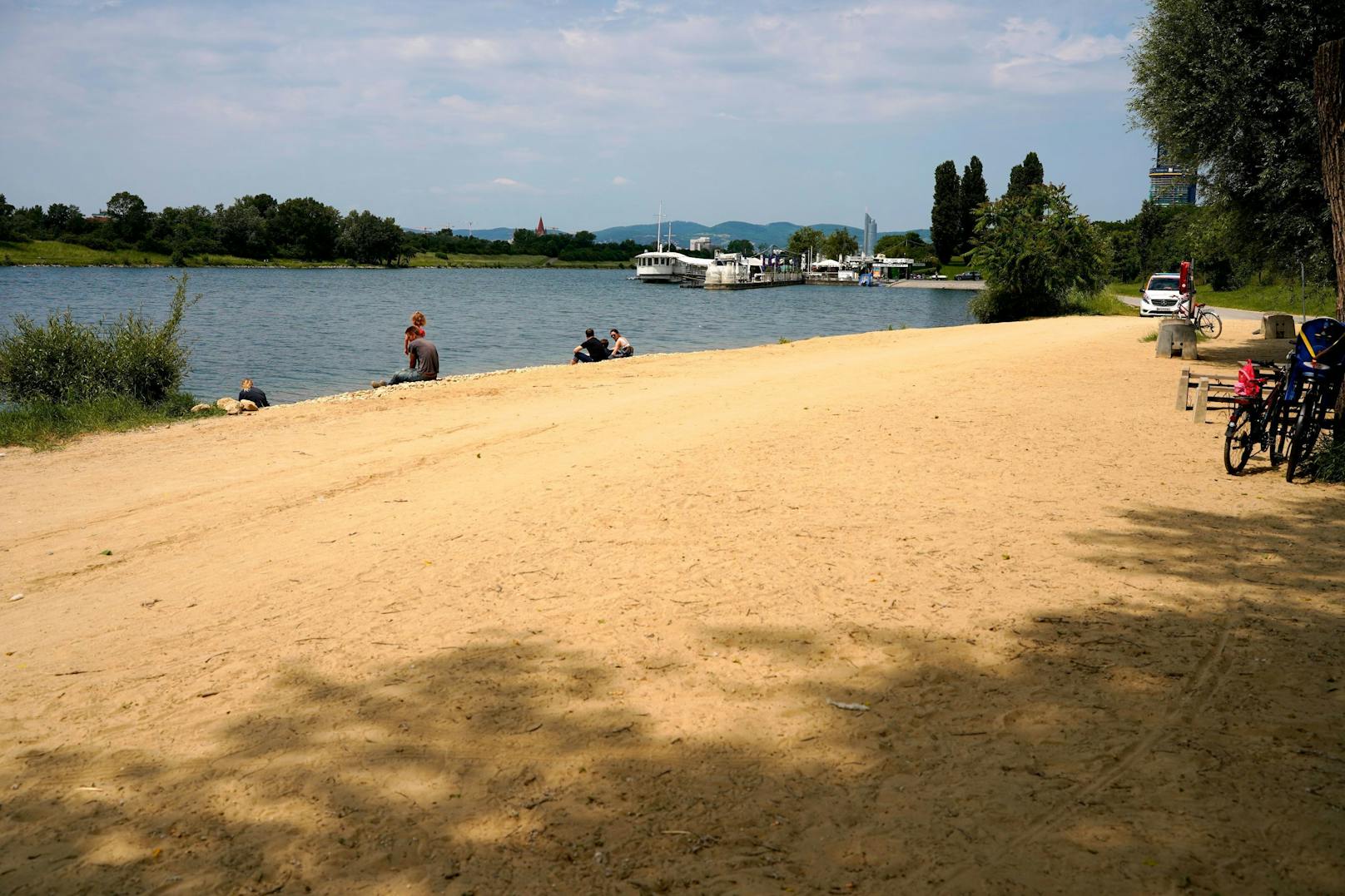 Der Unfall passierte an der Neuen Donau.