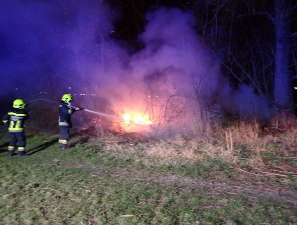 Feuer beim Figurenteich: Die Feuerwehr musste löschen.