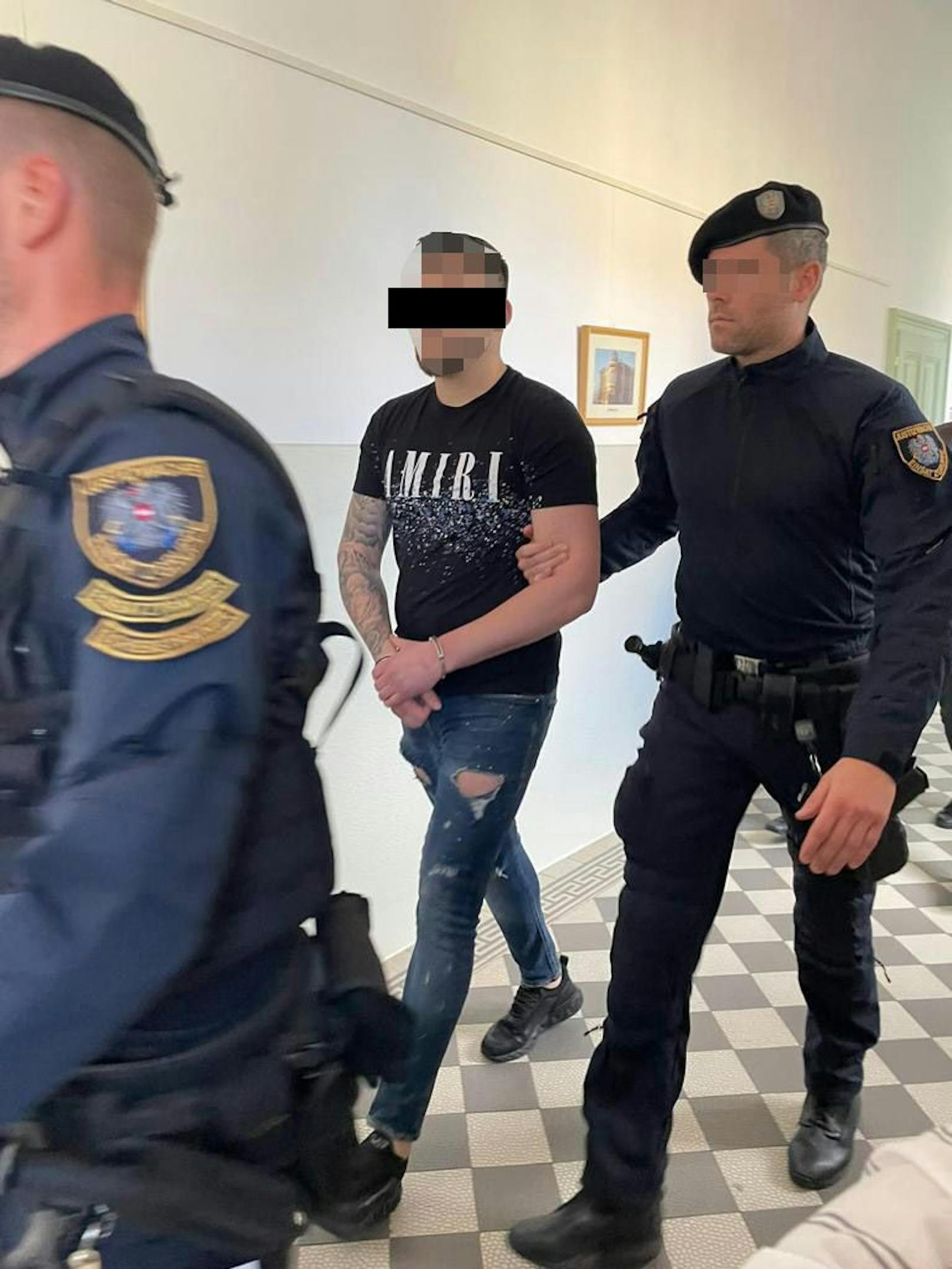 Der hauptangeklagte Serbe (25) in St. Pölten vor Gericht.