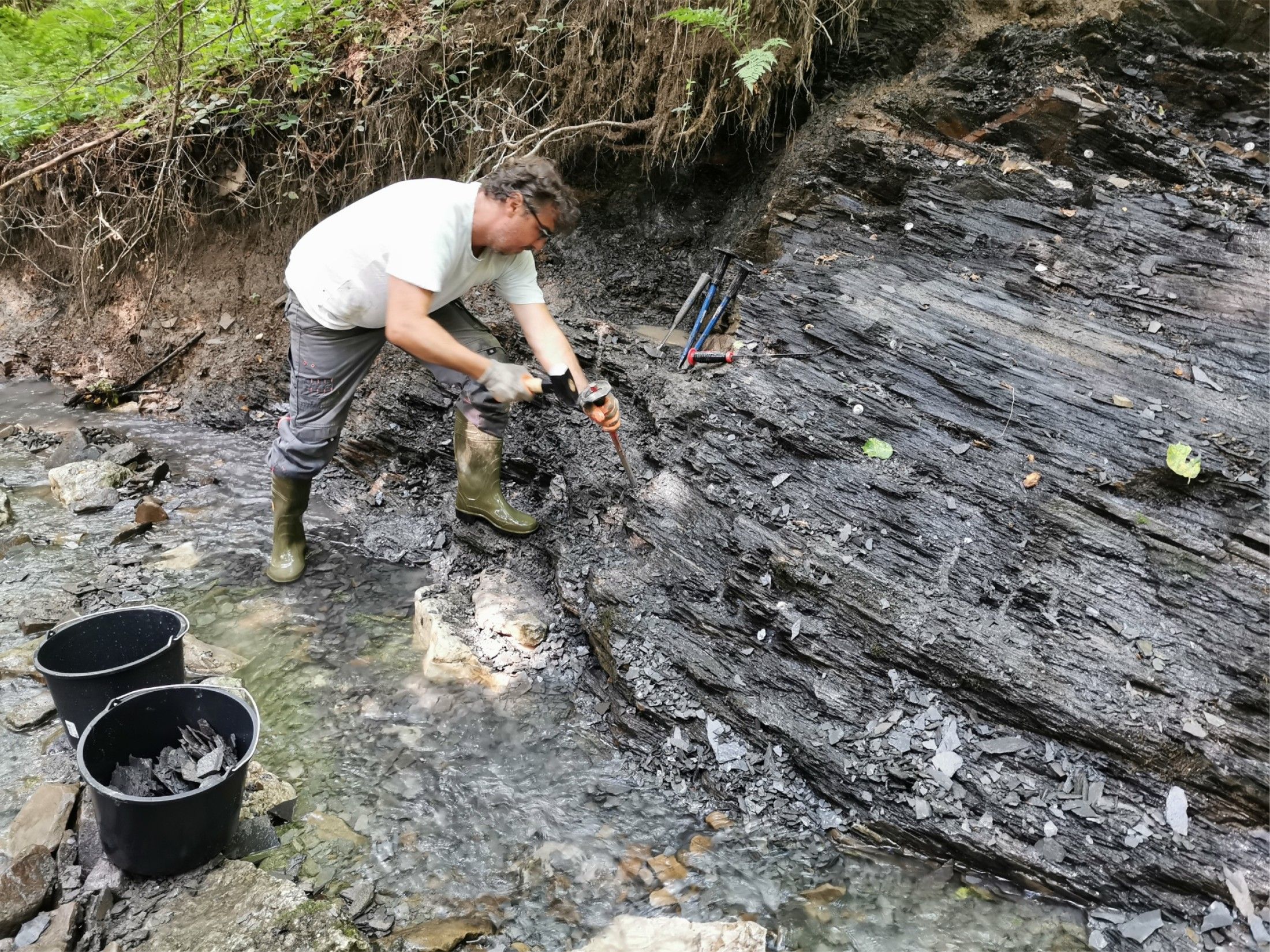 Alexander Lukeneder bei der Grabung an der Polzberg-Fundstelle. Archivbild