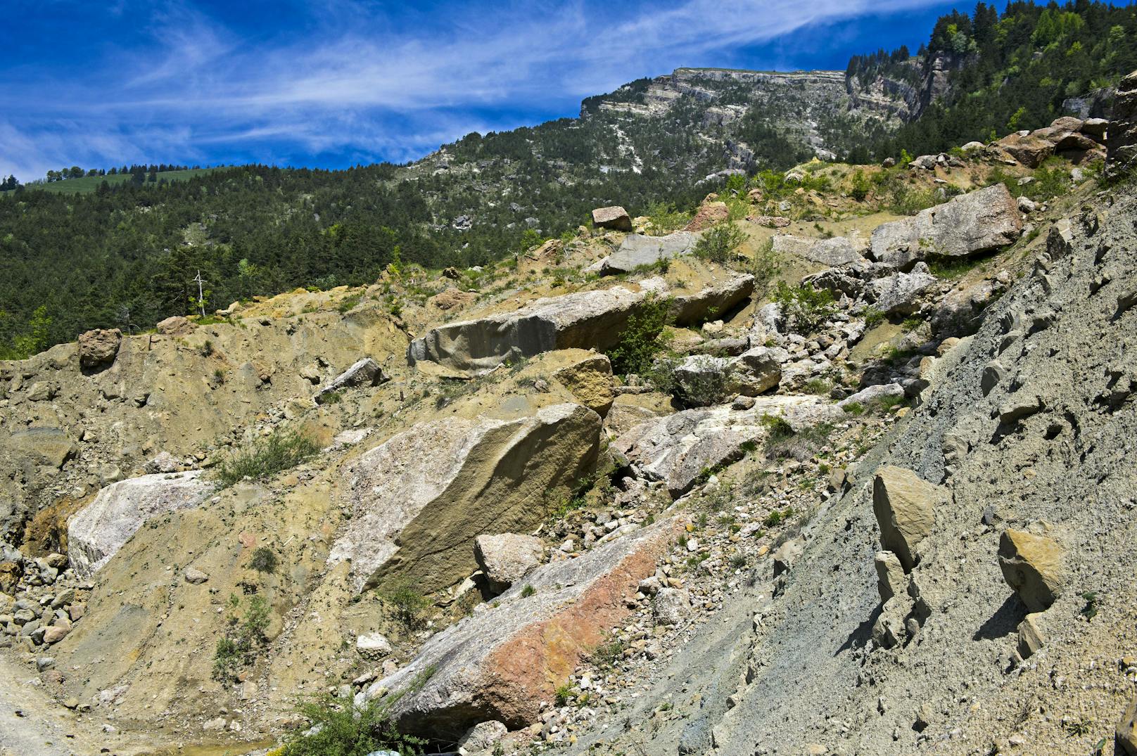 Felstrümmer im Goldauer Bergsturzgebiet von 1806, aufgenommen 2013.