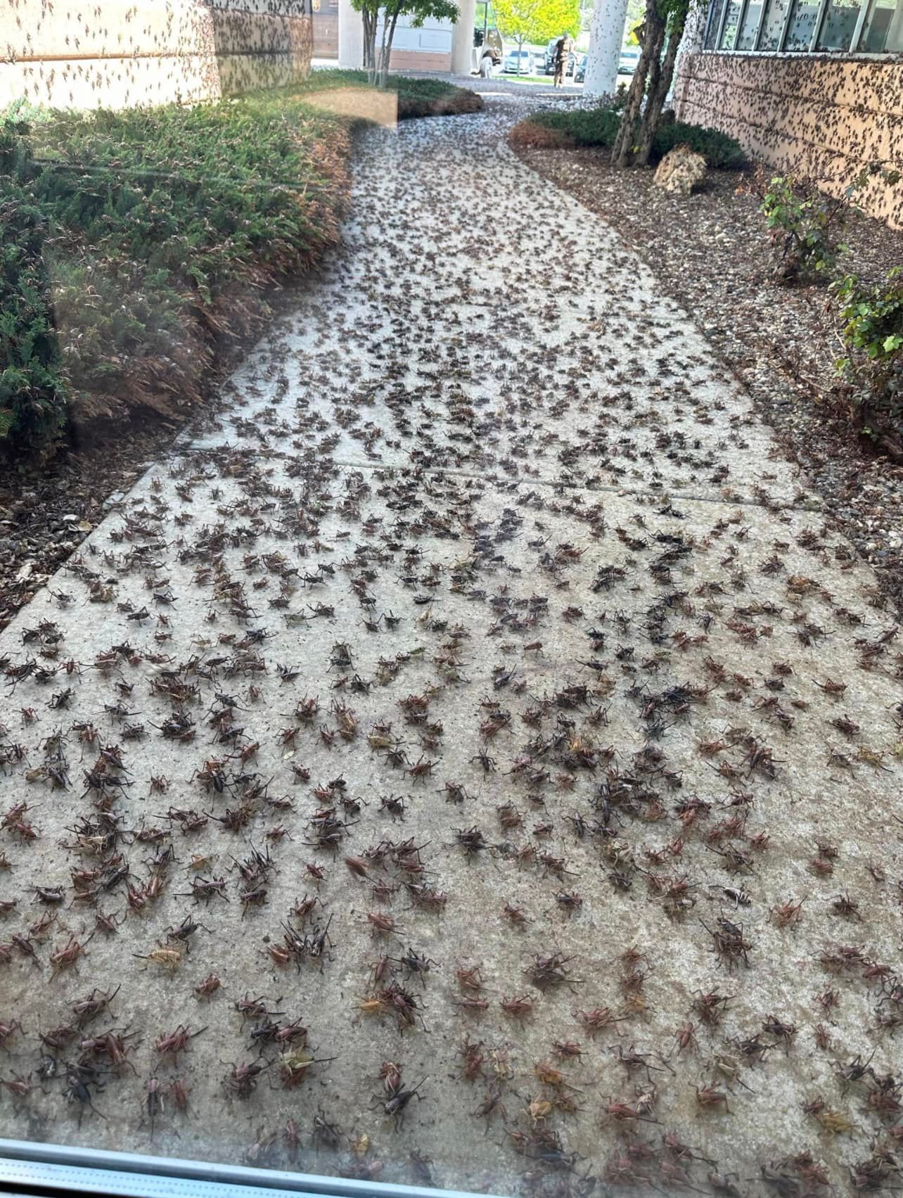 Northeastern Nevada Regional Hospital in Elko hat es besonders schlimm getroffen.