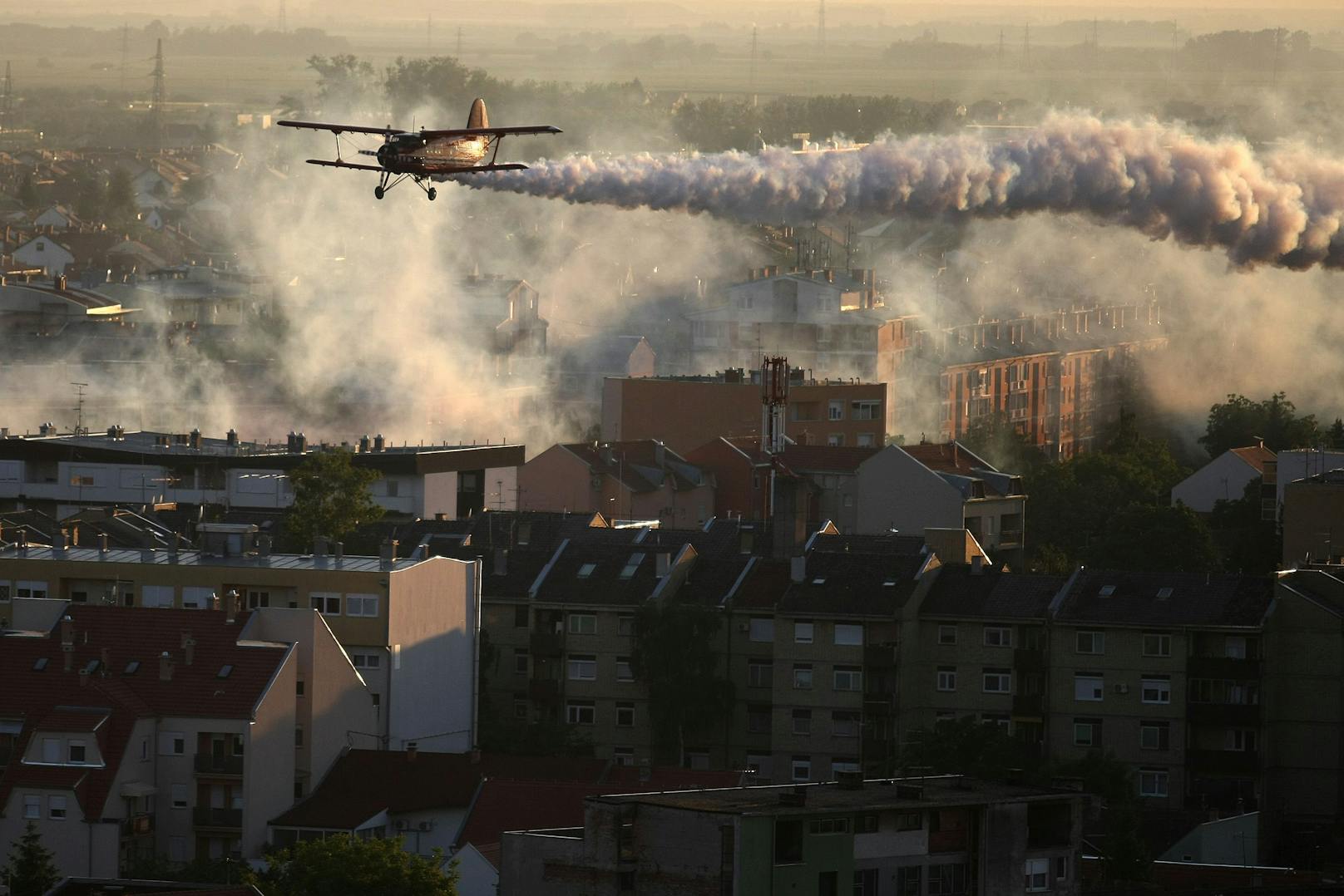 Bereits im Frühjahr 2013 beschäftigte die kroatische Stadt Osijek drei&nbsp;Sprüh-Flugzeuge, um die Insekten zu bekämpfen.