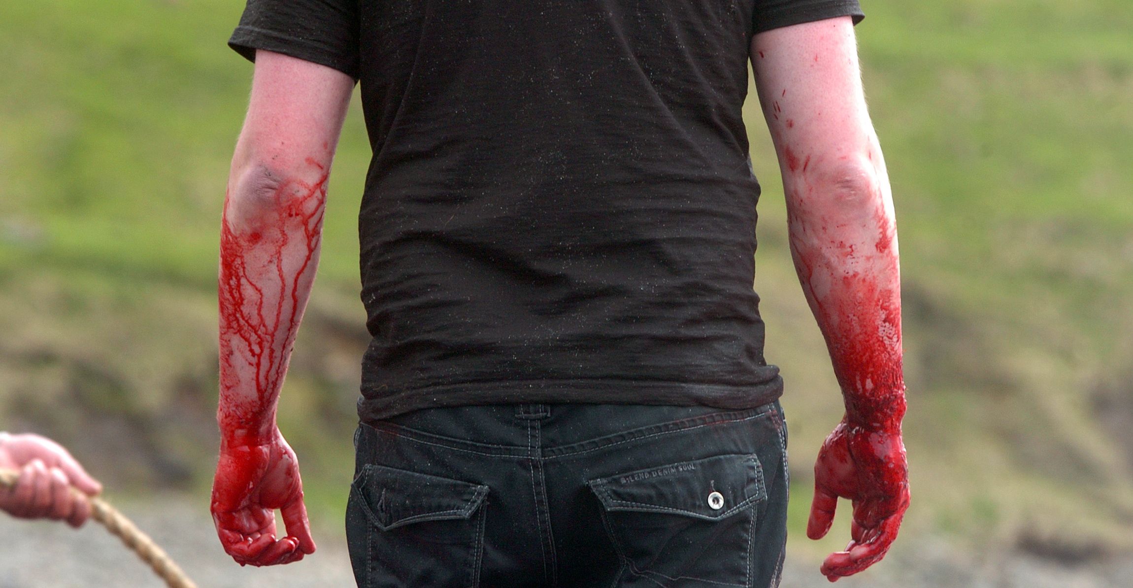 Bei Treibjagden vor den Färöer-Inseln wurden bislang bereits über 500 Tiere getötet.