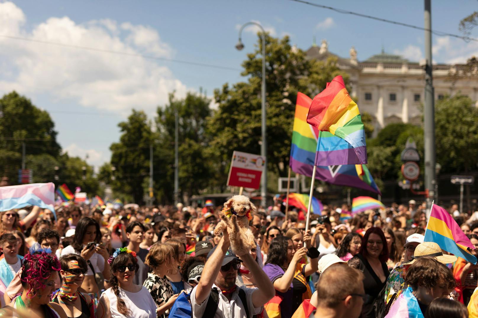 Die Vienna Pride ging am Samstag über die Bühne – erst danach gab es Infos über einen vereitelten Anschlag.