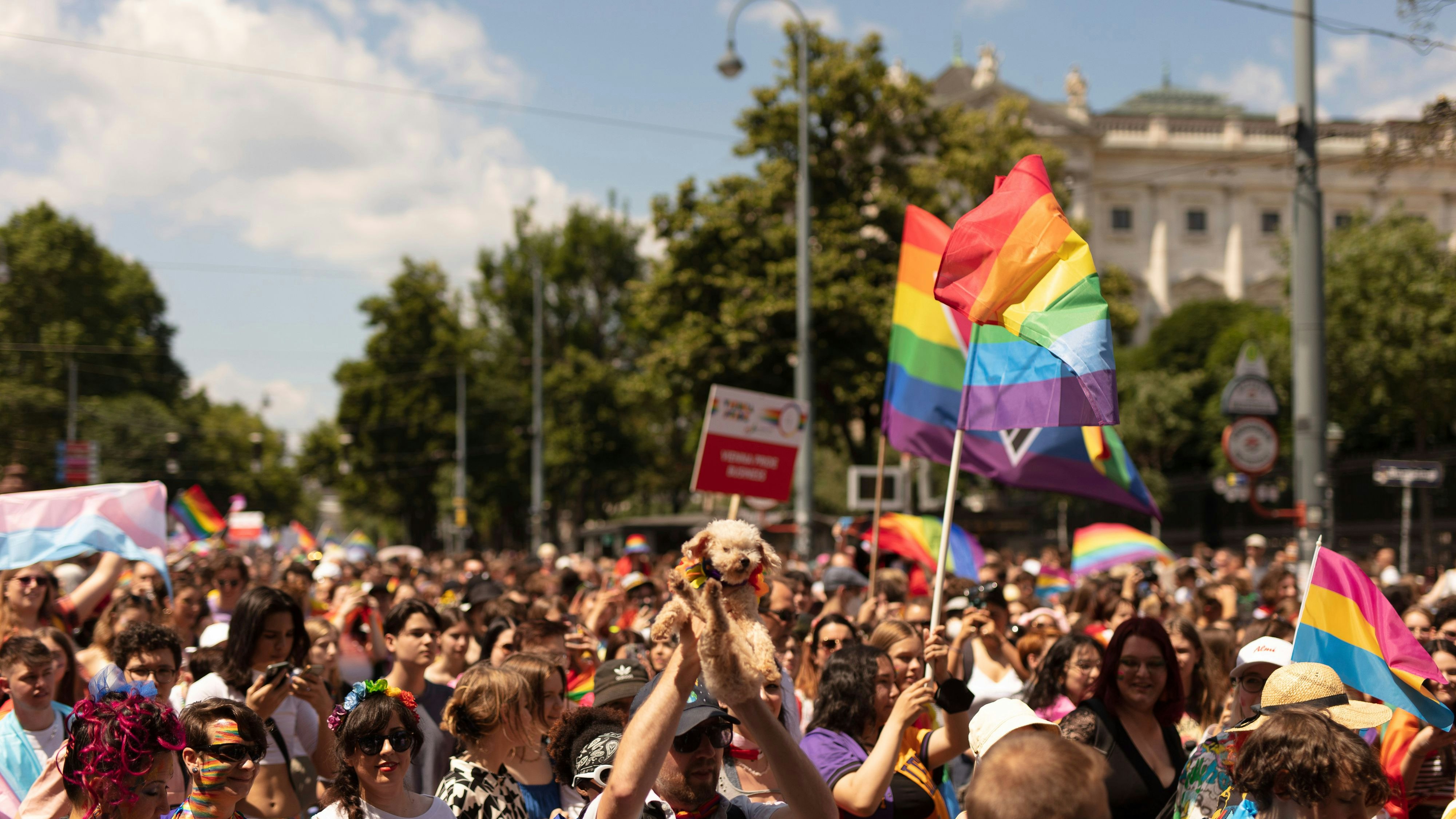 Heute.at - Vienna Pride schrumpft – Stadt kürzt Fördermittel