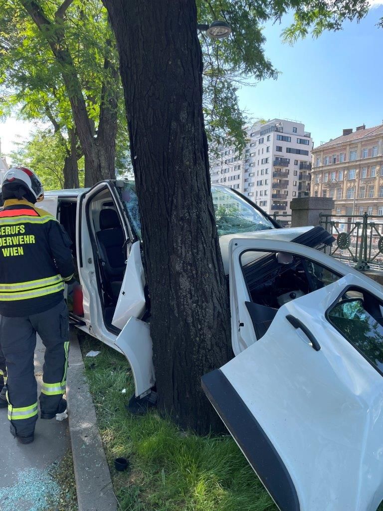 Ein Lenker krachte im 15. Wiener Gemeindebezirk in einen Baum.