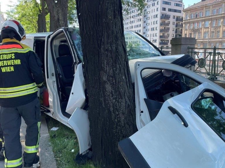 Ein Lenker krachte im 15. Wiener Gemeindebezirk in einen Baum.