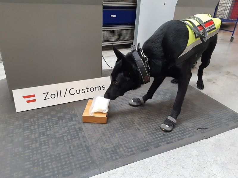 Der Zoll verzeichnet einen Anstieg bei Aufgriffen von Schmugglern. 