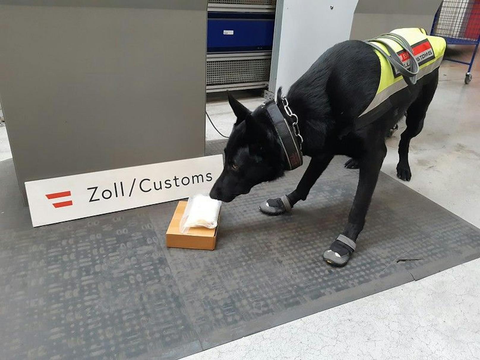 Der Zoll verzeichnet einen Anstieg bei Aufgriffen von Schmugglern.