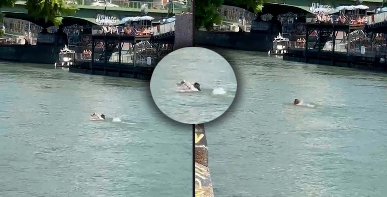 Hitzewelle! Erster Wiener springt in den Donaukanal