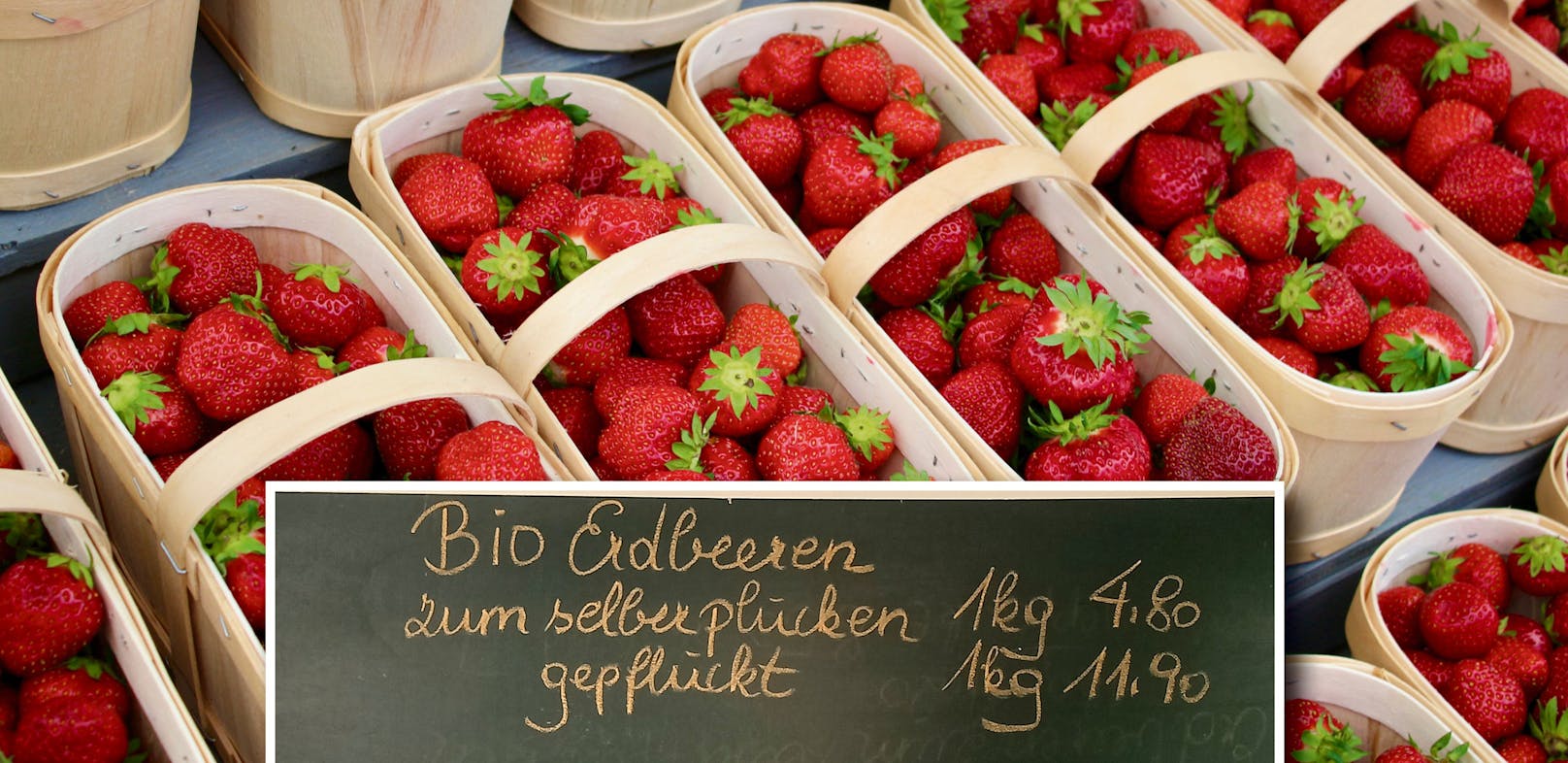 Selbst pflücken oder gepflückt kaufen? Beim Erdbeerpreis ist das ein gewaltiger Unterschied.