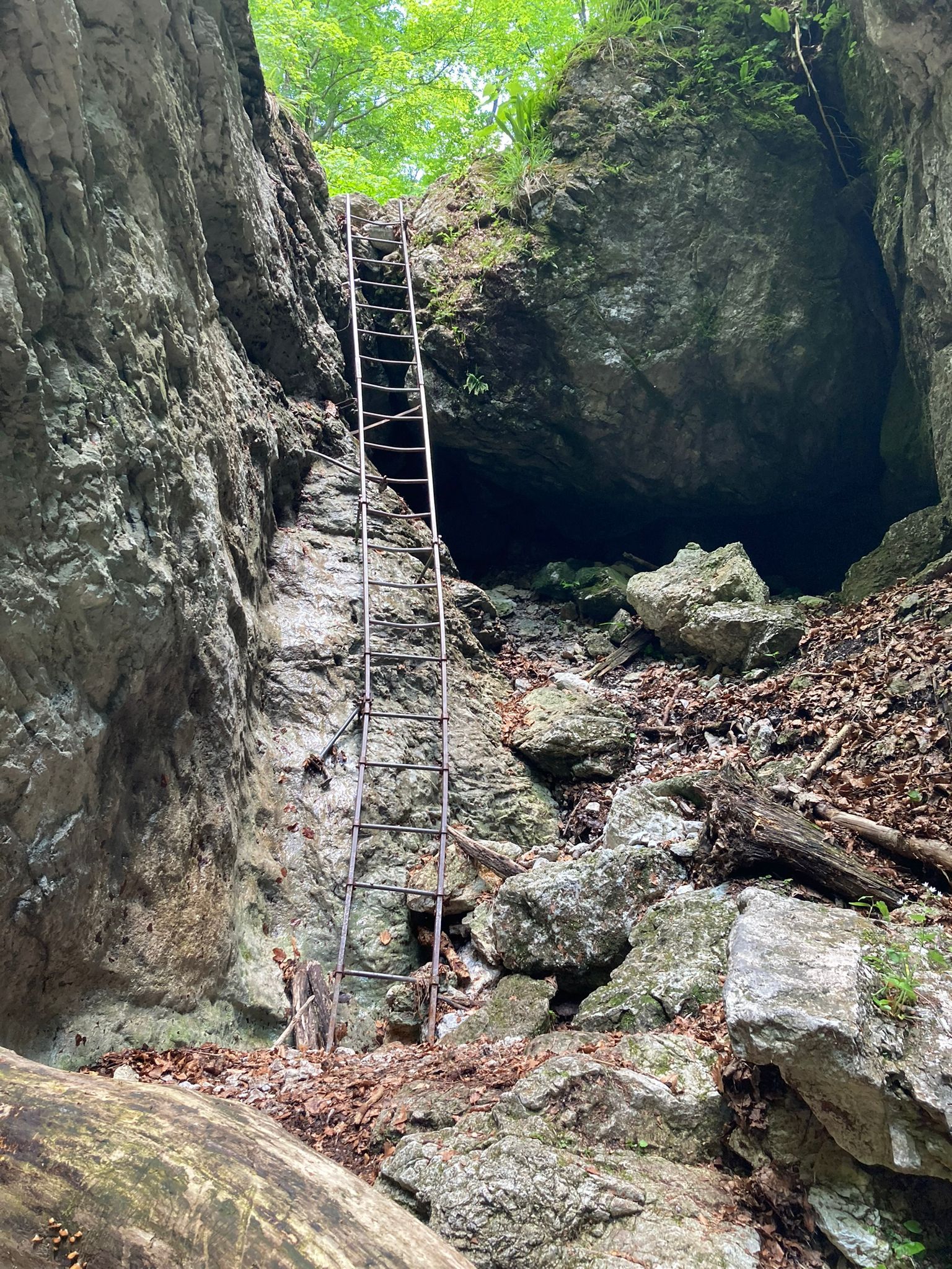 In der Weichtalklamm (Schneeberg) stürzte der Wanderer von dieser Leiter.
