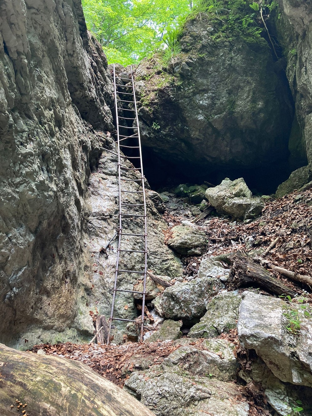 In der Weichtalklamm (Schneeberg) stürzte der Wanderer von dieser Leiter.