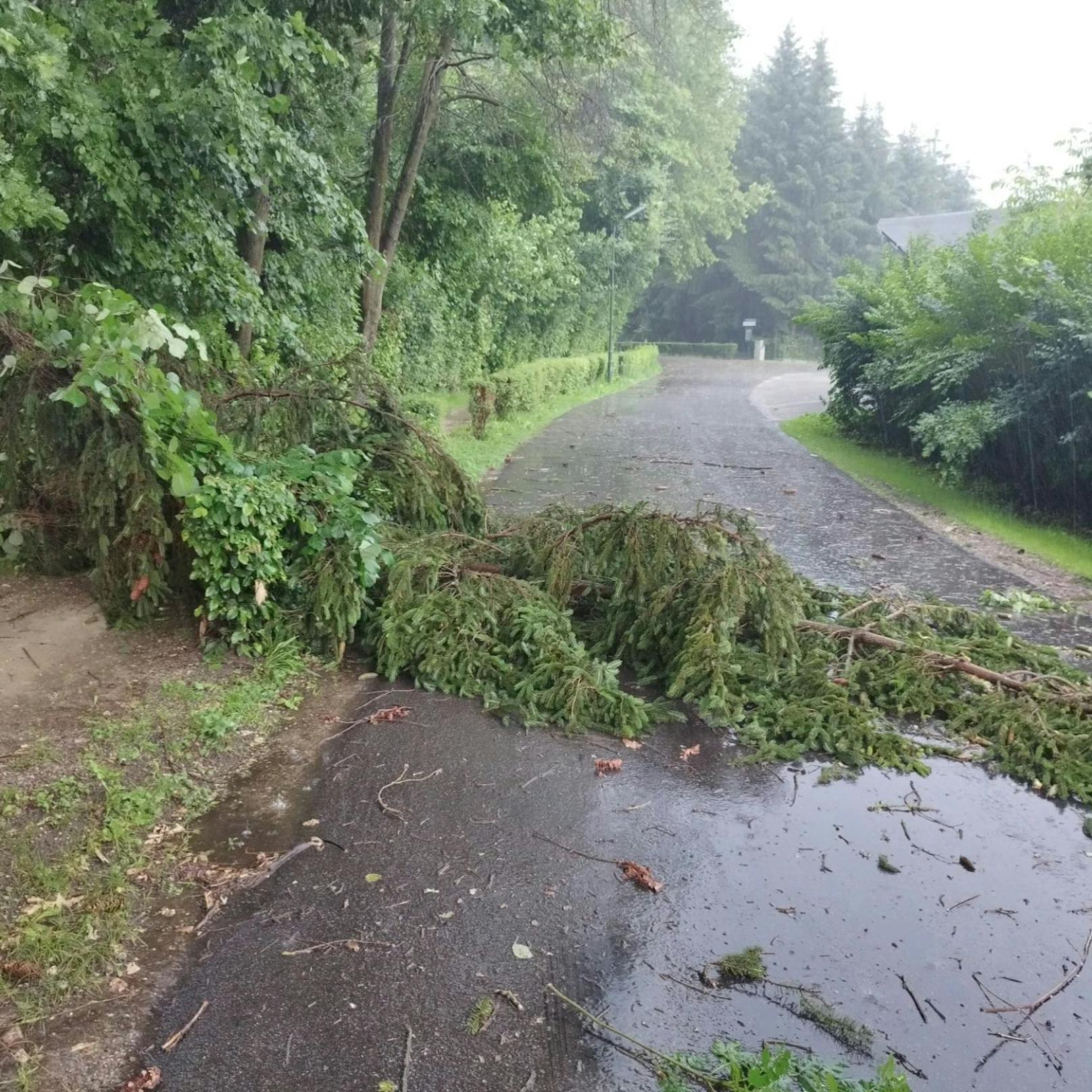 Ein heftiges Unwetter ist am frühen Montagabend über Kärnten gezogen und hat dabei mehrere Orte verwüstet. Die Feuerwehren verzeichneten etwa 25 Einsätze – Stromleitungen wurden beschädigt und Straßen überschwemmt.