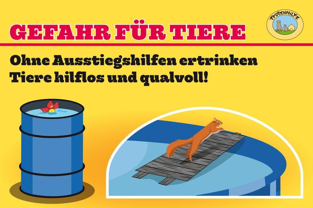 Eine Ausstiegshilfe schützt Haus- und Wildtiere vorm Ertrinken.
