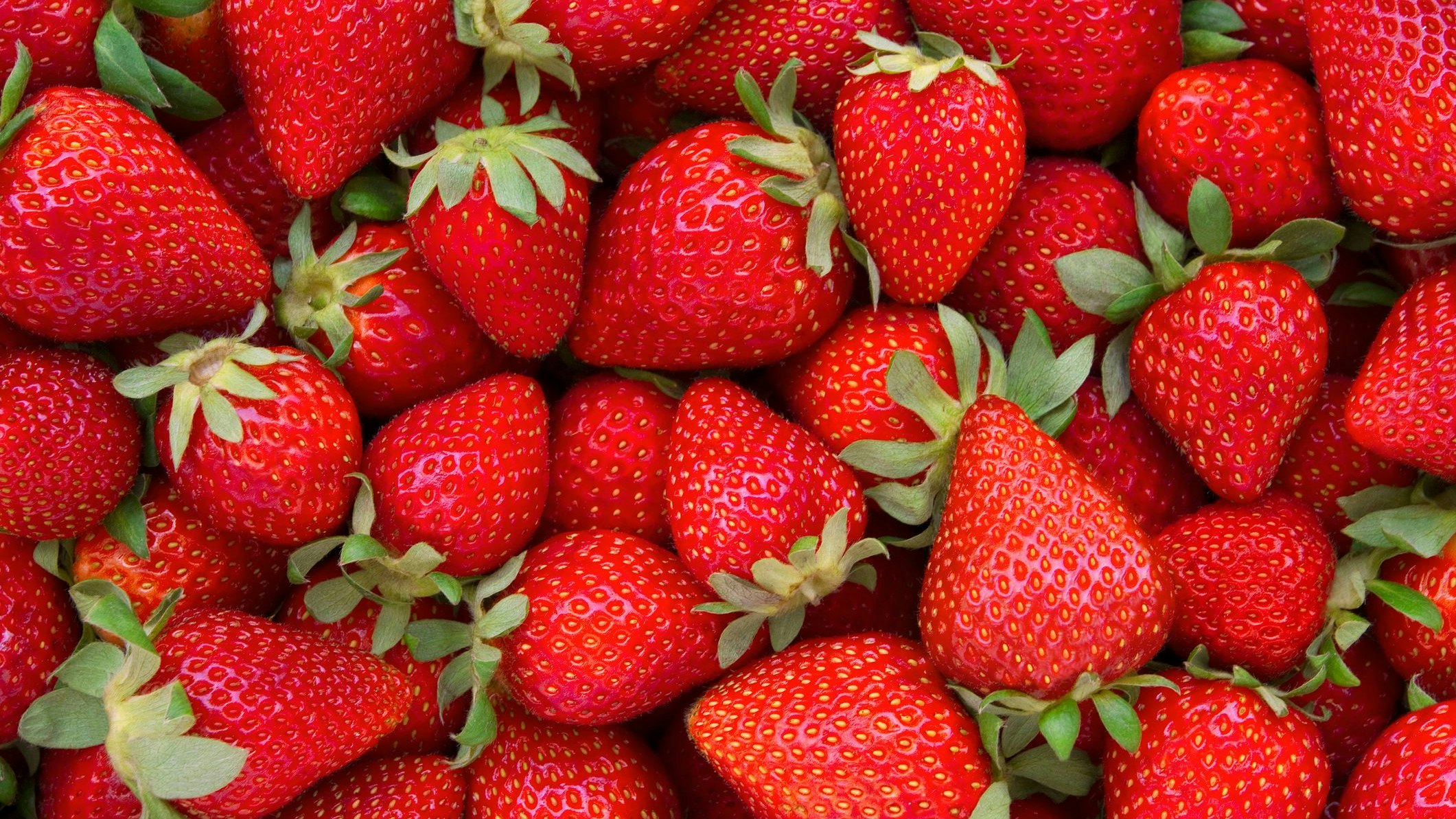 Erdbeeren waschen und dann in den Kühlschrank stellen? Lieber nicht. Wir verraten dir, wie deine Erdbeeren lange gut schmecken.