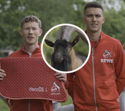 Flo Kainz und Dejan Ljubicic auf Maskottchen-Suche.