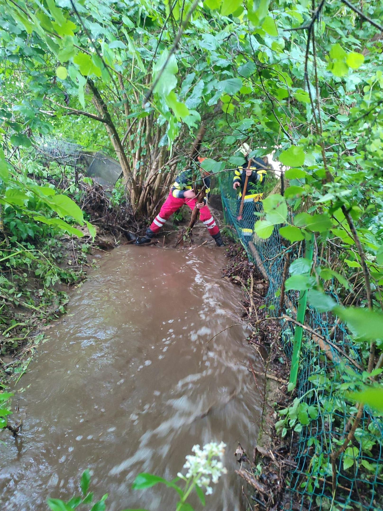 Ein heftiges Unwetter ist am frühen Montagabend über Kärnten gezogen und hat dabei mehrere Orte verwüstet. Die Feuerwehren verzeichneten etwa 25 Einsätze – Stromleitungen wurden beschädigt und Straßen überschwemmt.