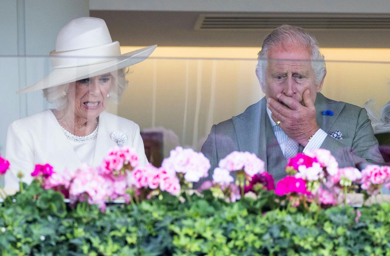 Über ihre Niederlage zeigten sich Charles und Camilla schwer entsetzt.