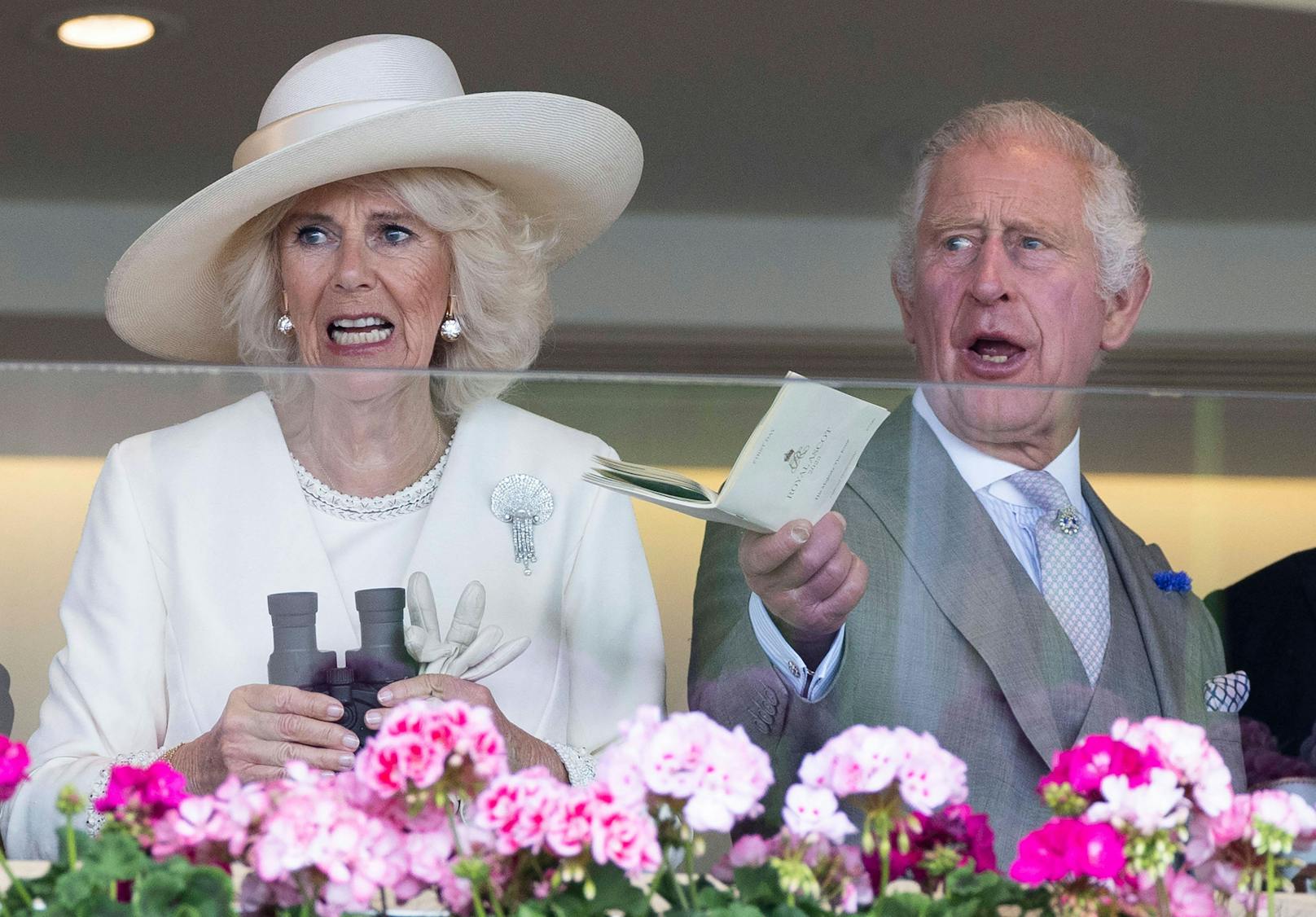 Charles und Camilla können es nicht glauben: Ihr Pferd landete beim Rennen nur auf Platz fünf.